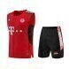 2022-2023 Bayern Munich Training Vest & Shorts - Red