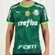 2023/24 Palmeiras Domicile Maillot - Brésil Champion 2022