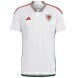 2022 Wales Away Soccer Jersey