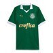 2024/25 Palmeiras Domicile Maillot