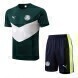 2022-2023 Palmeiras Training Shirt & Shorts - Dark Green