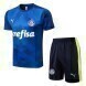 2022-2023 Palmeiras Training Shirt & Shorts - Fancy Blue